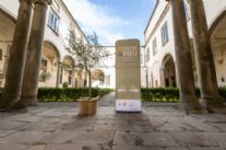 A Lucca torna il Festival dell'olio extravergine di oliva