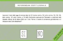 A Viareggio il 51% degli aventi diritto ha votato per il referendum
